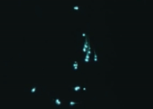 Test Simulation of SAGE from SDC